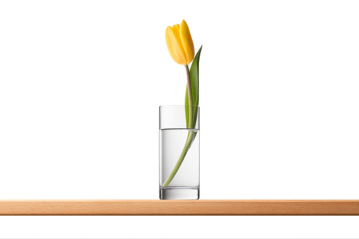 Yellow tulip in a glass on shelf isolated on white background.