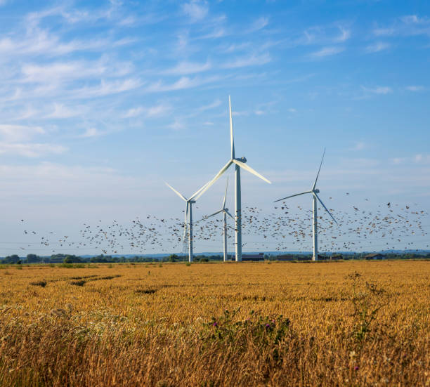 istock Little Cheyne Court Wind Farm 1408170240