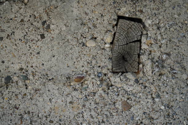 istock Fragment of an old concrete wall with wood inserts, close-up 1408173904