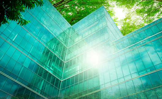 Eco-friendly building in the modern city. Green tree branches with leaves and sustainable glass building for reducing heat and carbon dioxide. Office building with green environment. Go green concept.