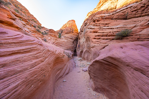 View along the Wire Pass trail that leads to Buckskin Gulch, the worlds deepest slot canyon. Located in-between the cities of Page and Kanab on the Utah, Arizona border in the southwest USA.