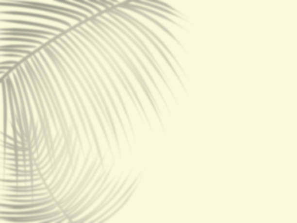 istock Background of the shadow of palm leaves reflected on the wall 1408178958
