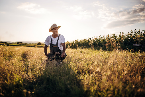 Senior farm worker on the wheat farm with his dog