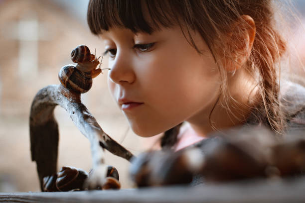 Close up of cute little girl intently watching small snail crawling along wooden bench while sitting comfortably in garden outdoor while, kids spending time in nature, child exploring environment