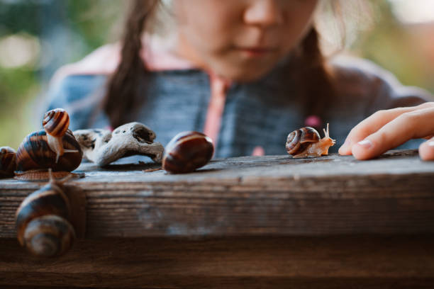 Close up of cute little girl intently watching small snail crawling along wooden bench while sitting comfortably in garden outdoor while, kids spending time in nature, child exploring environment