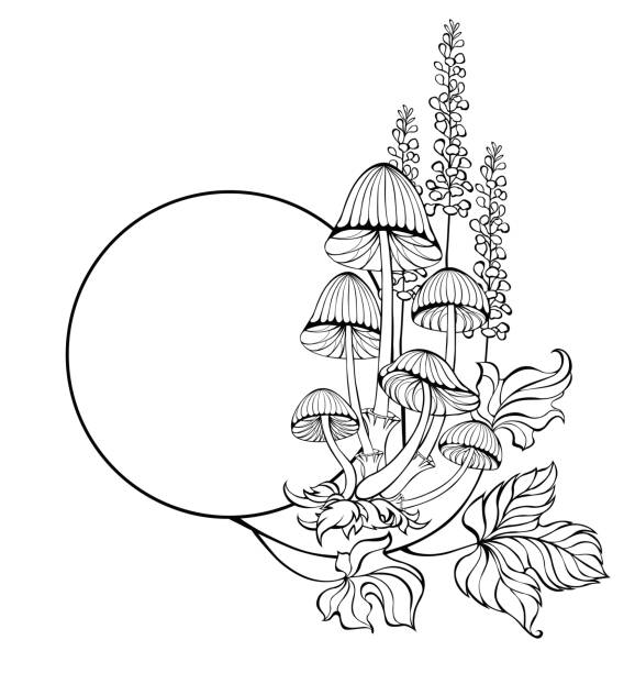 monogram konturowy z grzybami bagiennymi - grzybobranie stock illustrations