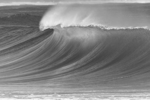 istock Ocean Wave Upright Black White Water 1408186970
