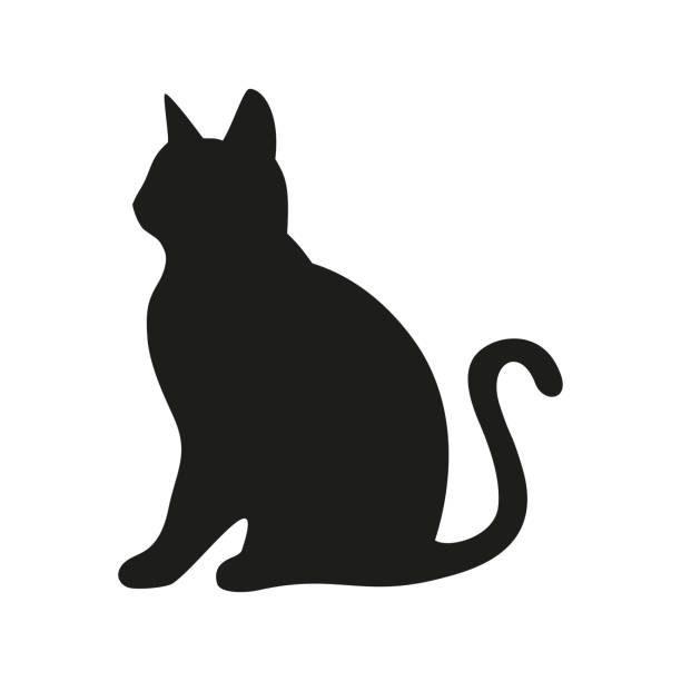 검은 고양이 실루엣. - silhouette animal black domestic cat stock illustrations