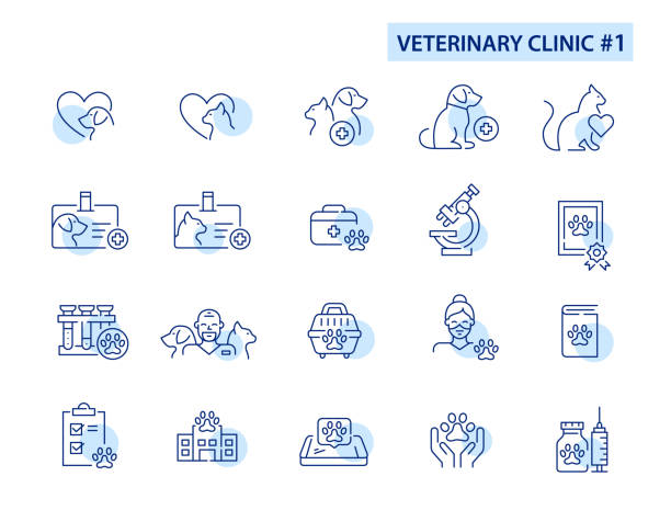 set von tierklinik tierpflege symbole. arzt, untersuchung, impfstoff, katze und hund liebe. pixelgenaue, bearbeitbare konturliniengrafik. - grooming stock-grafiken, -clipart, -cartoons und -symbole