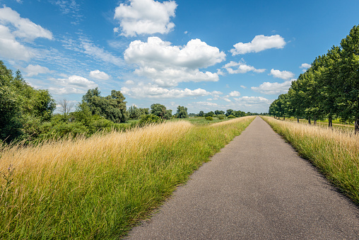 Endless long path on top of a Dutch dike. It is a sunny day in summer. Some of the grass has already yellowed due to the drought. The photo was taken in the province of North Brabant.