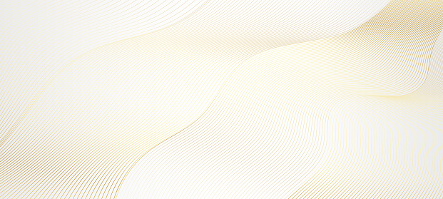 Abstract elegant white luxury background with gold line element