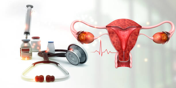 istock Human uterus anatomy model with stethoscope and medicines 1408194260