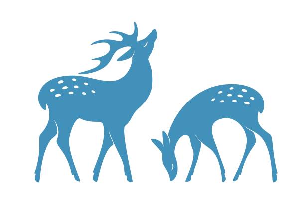 hirsch 01 - deer portrait stock-grafiken, -clipart, -cartoons und -symbole
