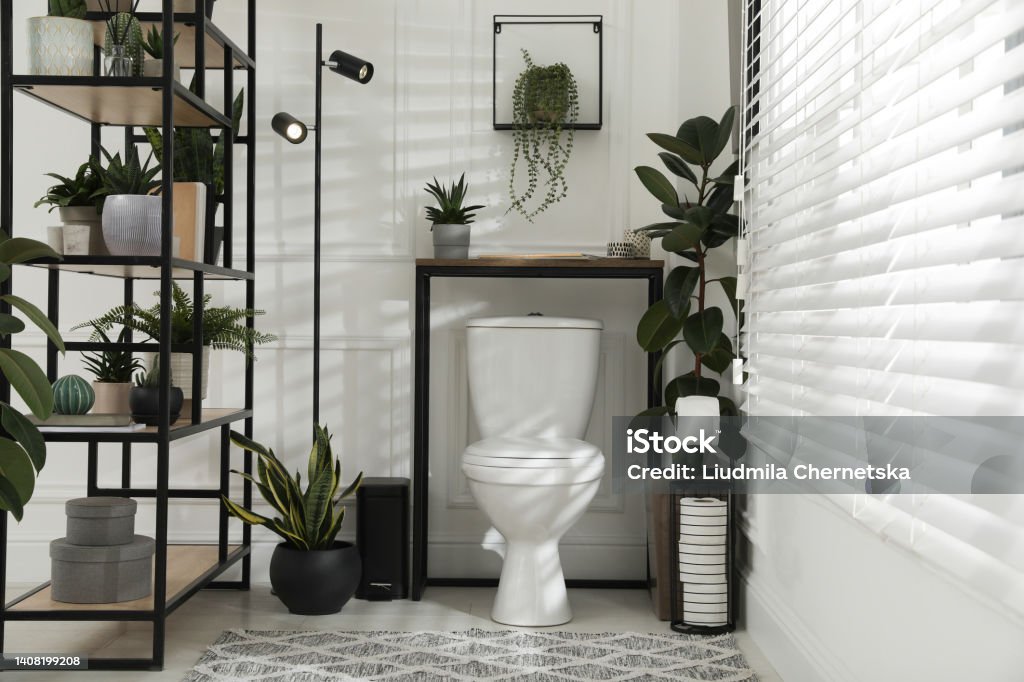 Stylish bathroom interior with toilet bowl and many beautiful houseplants Apartment Stock Photo