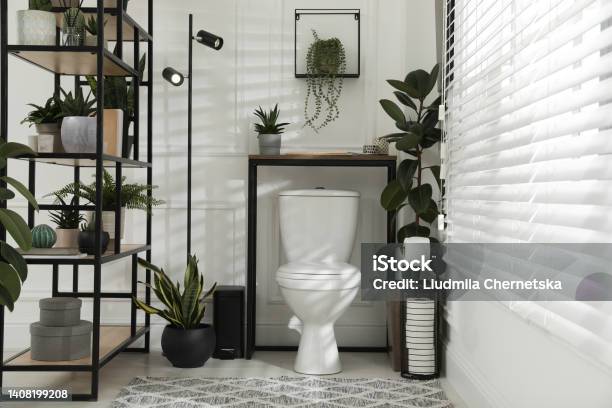 Stylish Bathroom Interior With Toilet Bowl And Many Beautiful Houseplants Stock Photo - Download Image Now