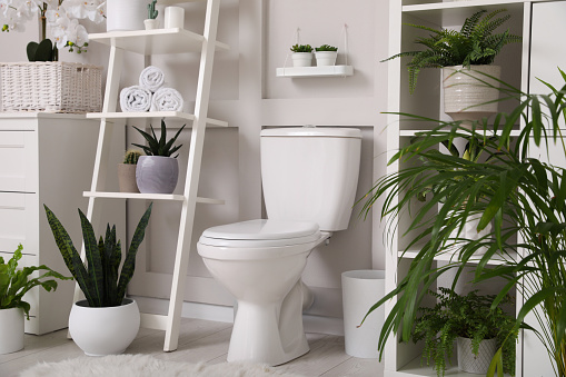 Stylish bathroom interior with toilet bowl and many beautiful houseplants