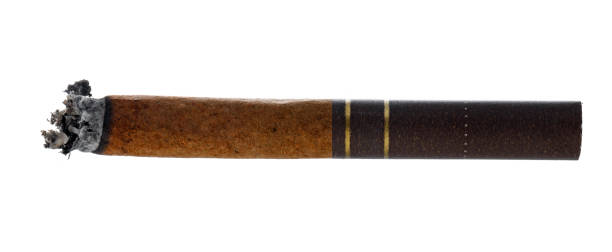 istock Burning cigarette isolated on white background close up 1408199341