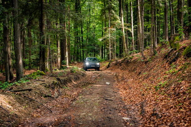 SUV travels in the mountain forest
