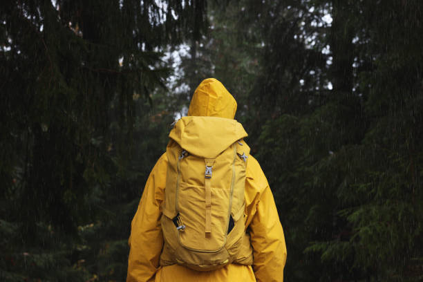 istock Woman with raincoat and backpack in forest under rain, back view 1408200113