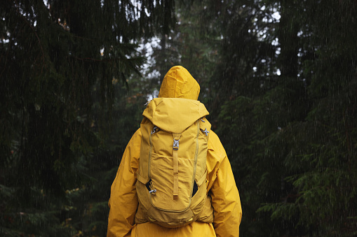 Woman with raincoat and backpack in forest under rain, back view