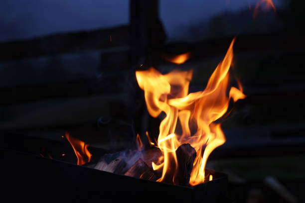 Beautiful view of bonfire outdoors in evening