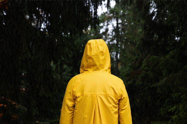 istock Woman with raincoat in forest under rain, back view 1408200327