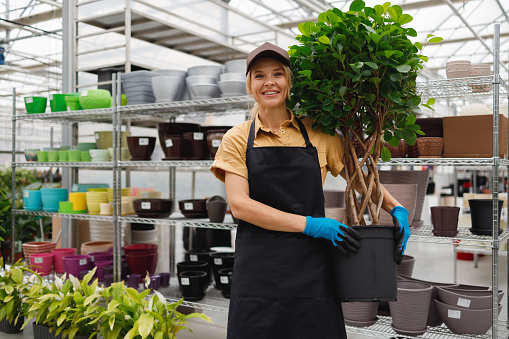 Portrait of cheerful female florist in apron and cap holding pot with green plant standing in garden center