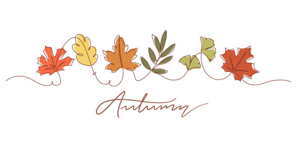 One line drawing of autumn leaves and autumn typography One line drawing of autumn leaf. Autumn script font and leaves isolated on white background vector illustration. fall leaves stock illustrations