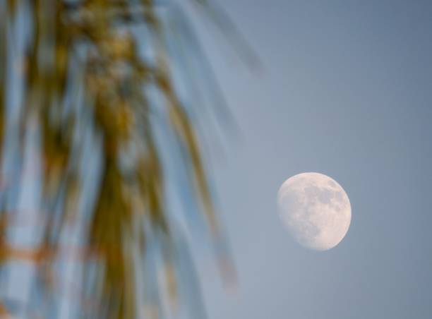istock The moon of the day 1408209204