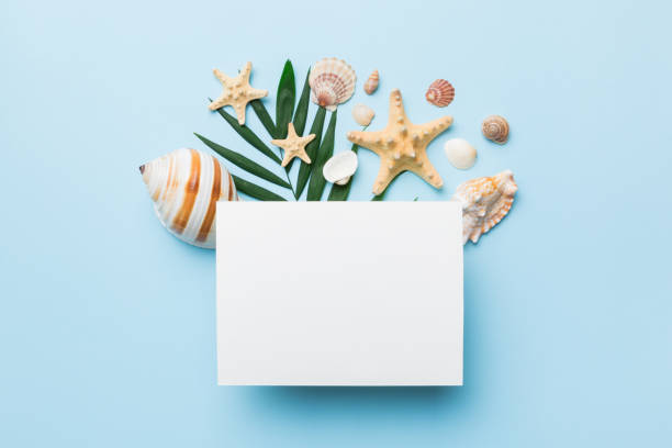 istock Summer time concept with blank greeting card and blank white paper on colored background. Seashells from ocean shore in the shape of frame separated with space for text top view 1408210852
