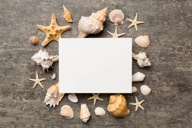 istock Summer time concept with blank greeting card and blank white paper on colored background. Seashells from ocean shore in the shape of frame separated with space for text top view 1408210854