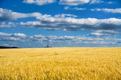 Black and white wheat field in Bulgaria