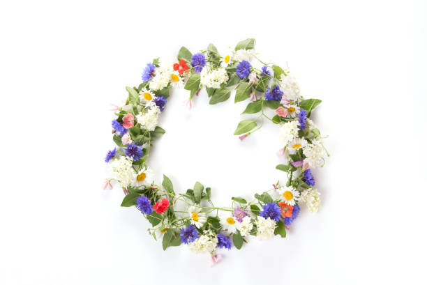 istock Wreath of wildflowers isolated on a white background 1408214825