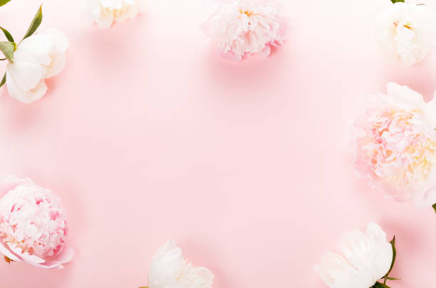 istock Romantic peony on a pink pastel background 1408214829