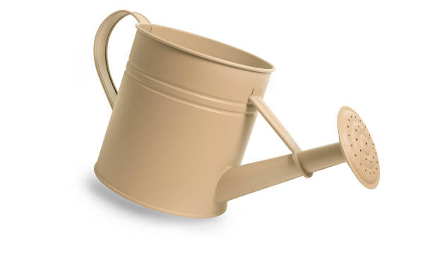 istock beige metal watering can isolated on white background. 1408222072