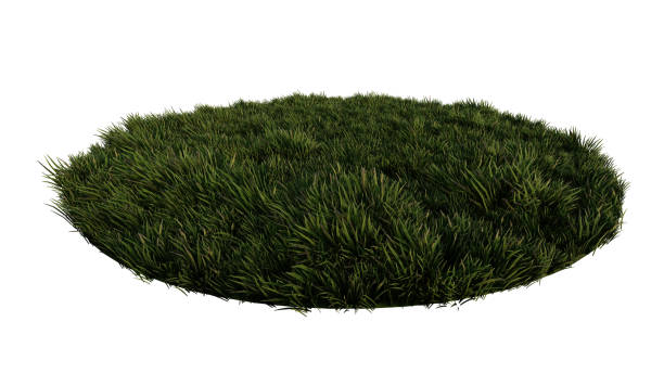 istock 3ds rendering image of  grasses field. 1408225609