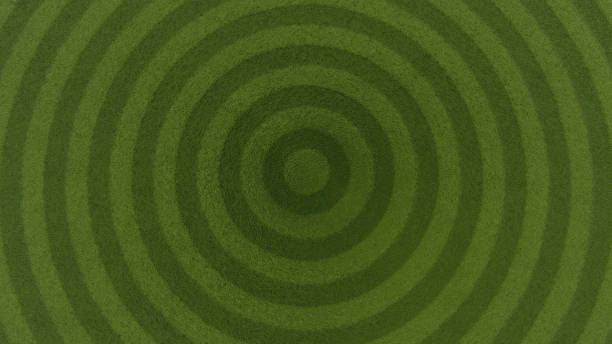 istock Green grasses field background for soccer , footbal 1408225639
