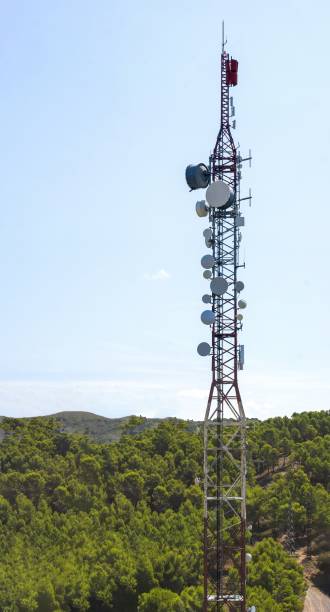 istock Panoramic vertical format of a communications antenna in the middle of a lush forest 1408233446