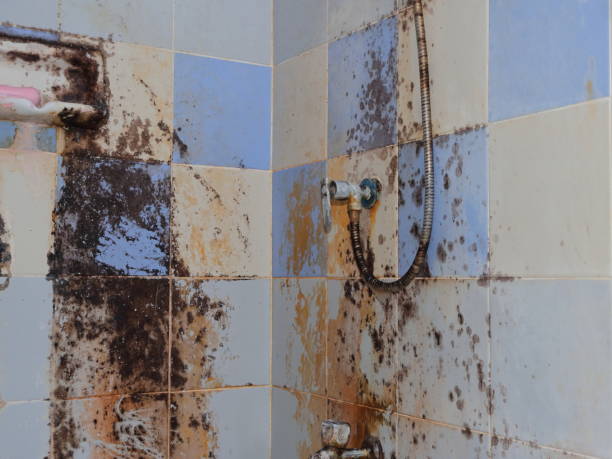 Mold grows up on shower hose stock photo