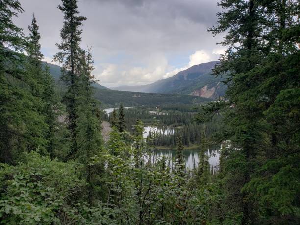 istock Dreaming of Alaska 1408235142