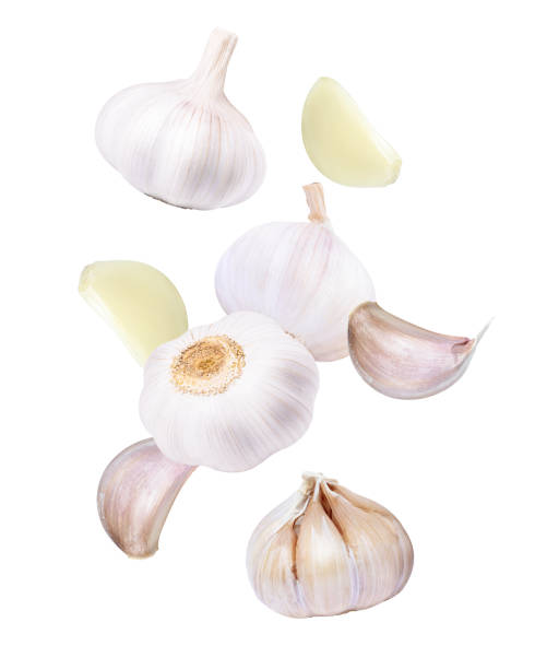 마늘 정향과 전구가 흰색으로 고립 된 공중에서 날아 다니는 것 - garlic clove isolated white 뉴스 사진 이미지