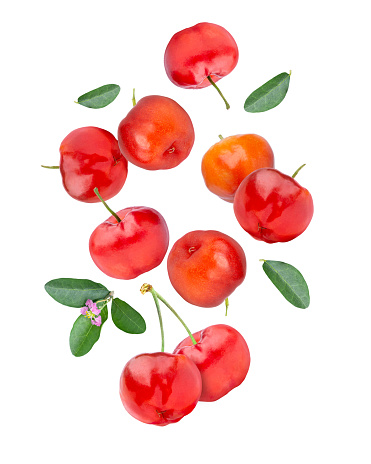 Acerola cherry with green leaves flying in the air isolated on white background.