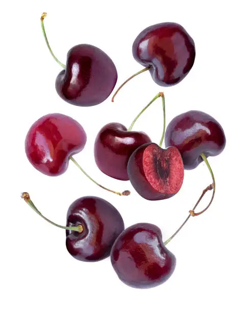 Photo of cherry flying in the air isolated on white background.