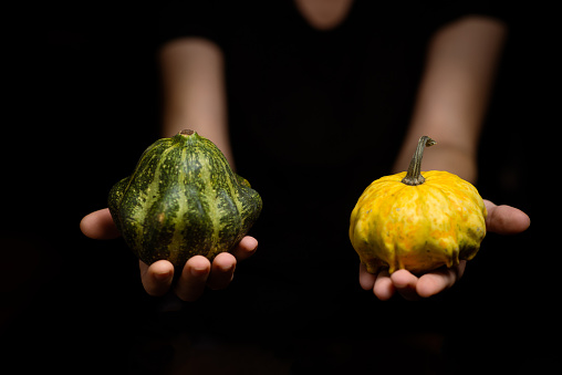 Different kind of bush pumpkin, dish pumpkin in female hands on a dark background.