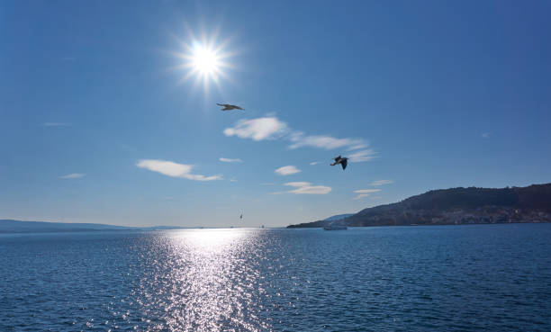 istock Canakkale province, Turkey 1408242396
