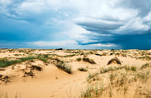 Landscape with rain clouds over the desert. Oleshky Sands in Ukraine.