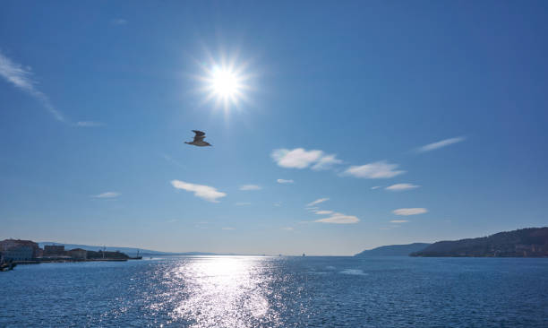 istock Canakkale province, Turkey 1408244078