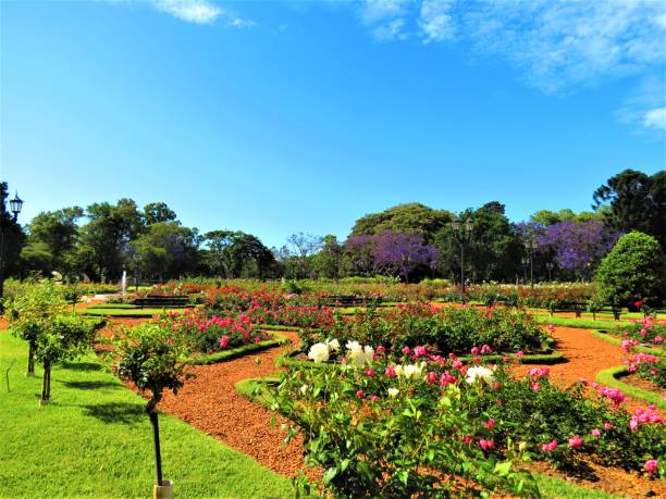 der rosedal park in buenos aires stadt. - buenos aires argentina palermo buenos aires south america stock-fotos und bilder