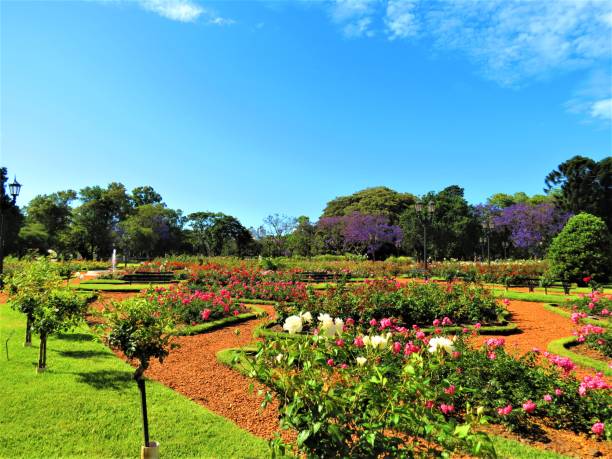 the rosedal park in buenos aires city. - argentina landscape scenics south america imagens e fotografias de stock