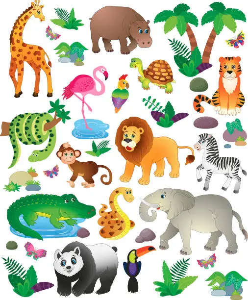 Vector illustration of a large collection of funny African animals.